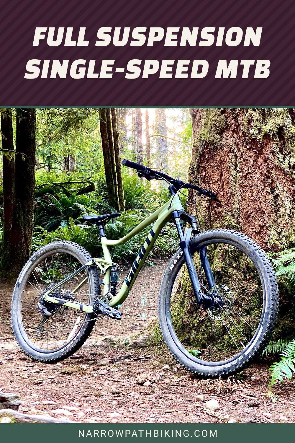 MTB leaning on a big tree in a forest - Full Suspension Single-Speed MTB