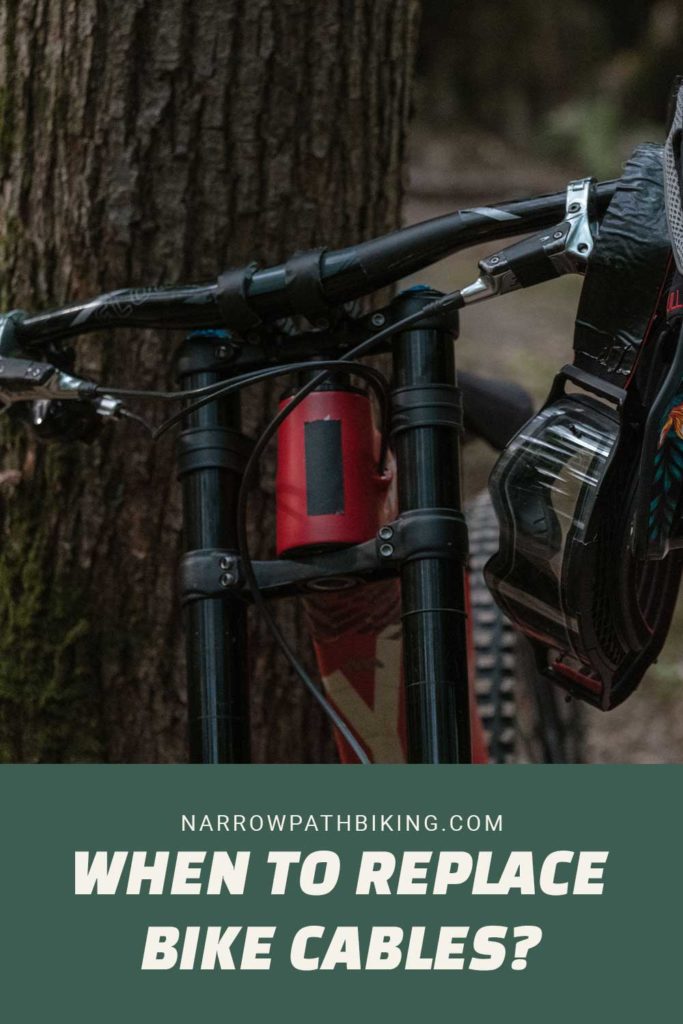 When To Replace Bike Cables? Narrow Path Biking