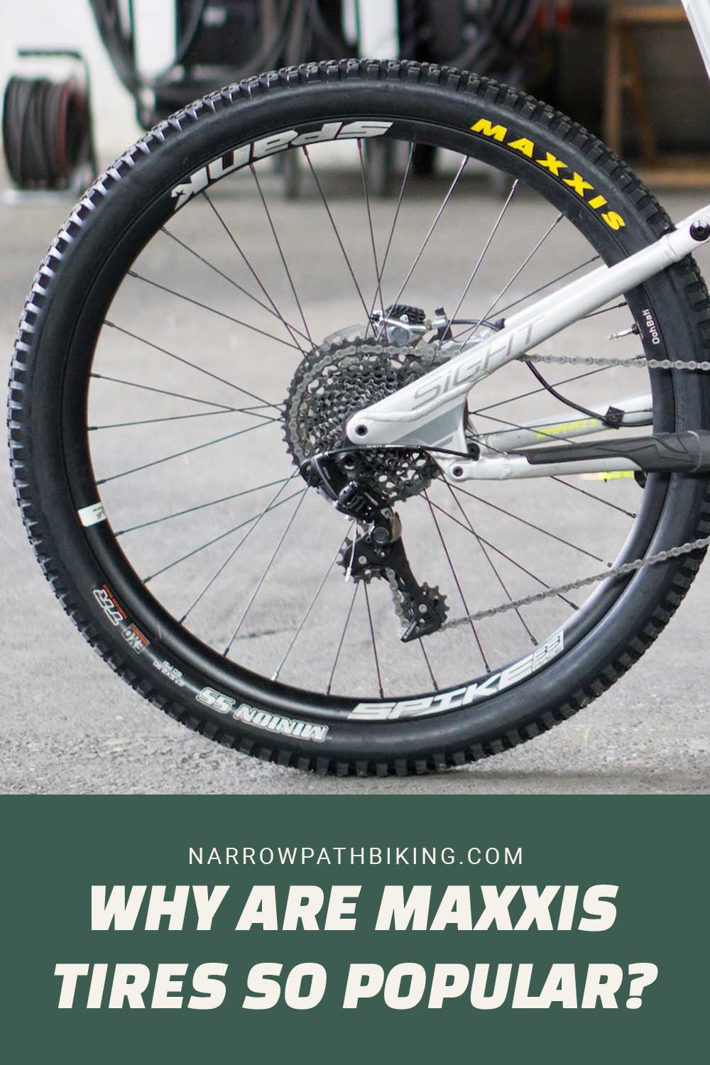 MTB's rear wheel - Why Are Maxxis Tires So Popular?