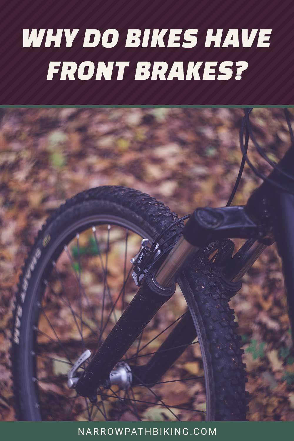 A bike's front wheel - Why Do Bikes Have Front Brakes?