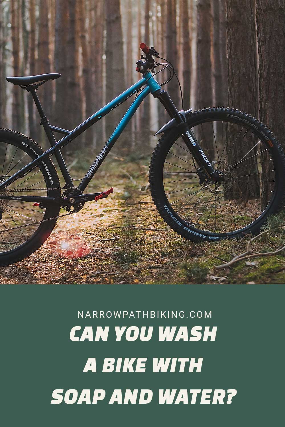A mountain bike in a forest - Can You Wash a Bike With Soap and Water?